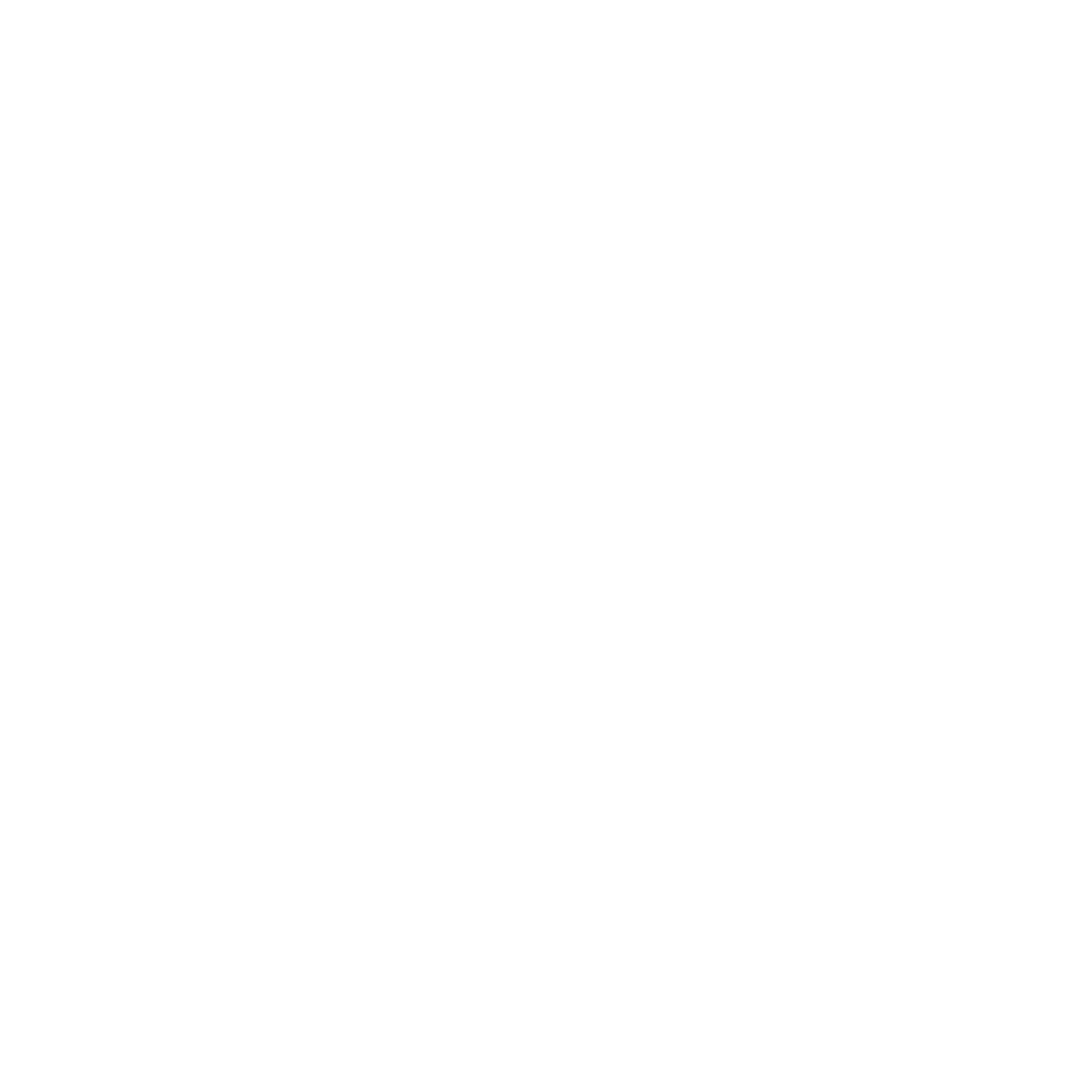 Dixie Movers logo